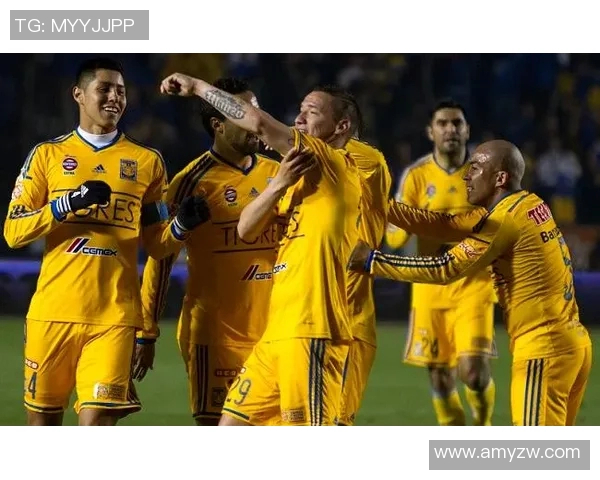 2017年墨美洲对阵老虎大学的精彩赛事回顾与分析 2017年墨美洲对阵老虎大学的精彩赛事回顾与分析